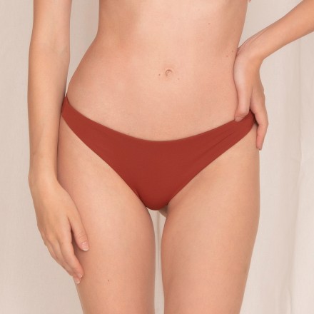 CLOSED BRIEFS PLUMES