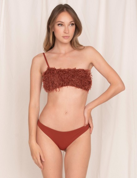 CLOSED BRIEFS PLUMES